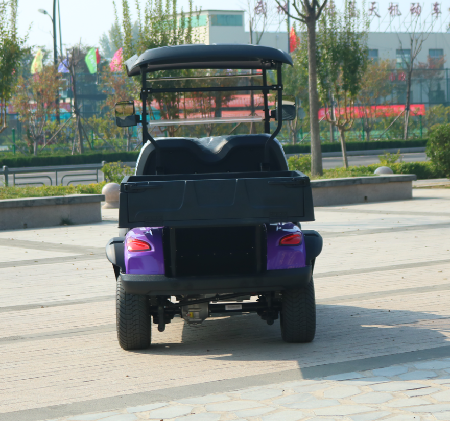 Mini Luxury Electric Utility 2 Seater Golf Cart with Cargo Box