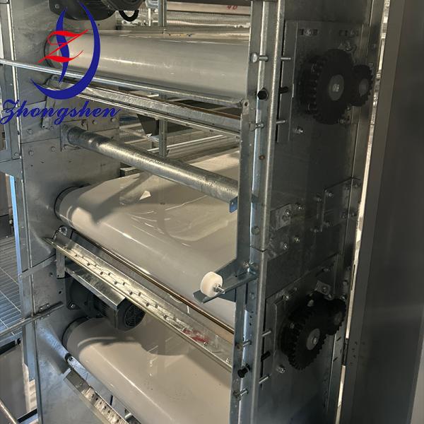 Tapis roulant à fumier Zhongshen PP — Fournisseur chinois de premier plan de tapis à fumier pour volailles