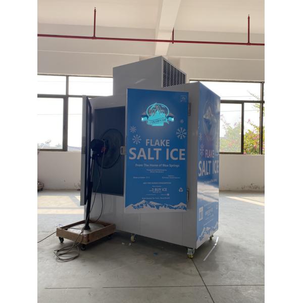 Gas Station Outdoor Dry Ice Bag Storage Freezer
