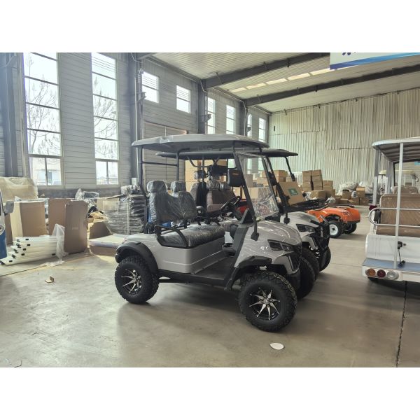 20% Maximum Climbing Degree Two-Person Golf Cart with 120mm Min Ground Clearance