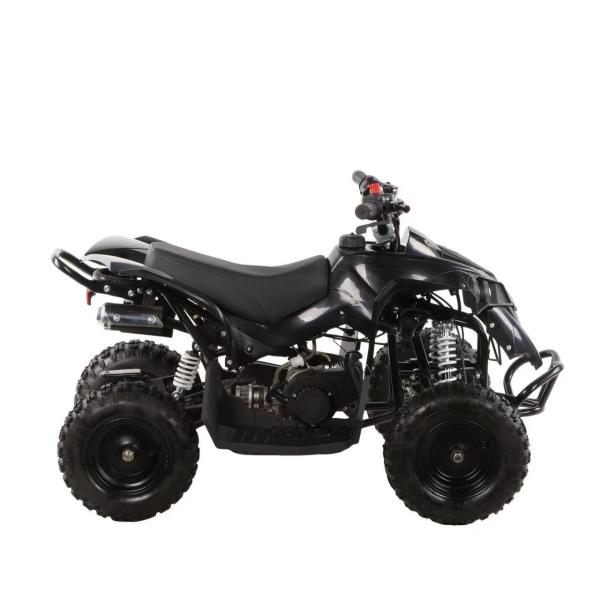 Mini Kids Quad Bike ATV with Automatic Chain Drive Transmission System and 49cc Engine