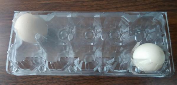 egg trays 6 holes 2*3 holes PVC / PET / APET... quail egg container  blister products