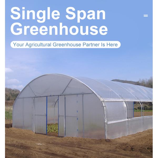 Одиночный пядь 150/200 микрон теплиц полиэтиленовой пленки пленки ПЭ аграрное вертикальное земледелие