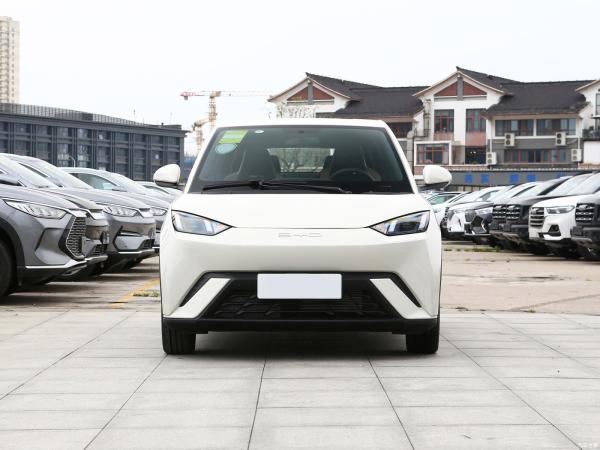 Versão Gratuita BYD Carro Elétrico Completo Sol Quente Branco 55KW Carro Elétrico Pura