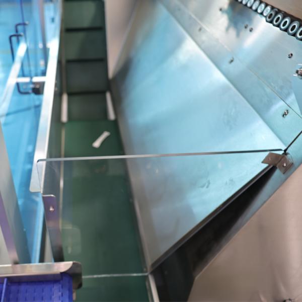 Factory Fully Automatic Multi-Row Sugar Honey Powder Bagging Carton Packing and Carton Wrapping Film Machinery Production Line