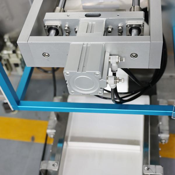 Auto Ultrasonic Packing Machine for Chinese Herbal Granules