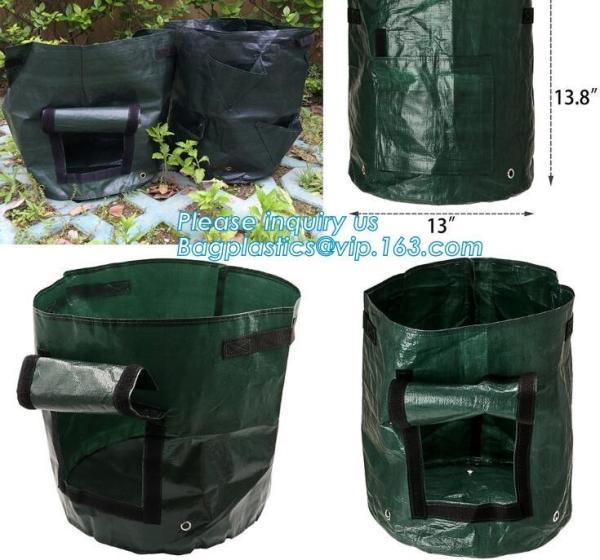 100 a árvore bronzeado que do galão de /200/300 cresce o saco 100gallon crescem o saco para árvores da planta, vegetais crescem sacos que plantam os sacos que crescem sacos