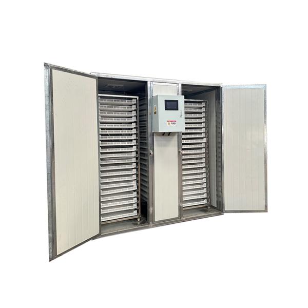 Horno deshidratador eléctrico comercial multifuncional para frutas y verduras