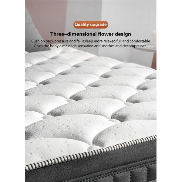 JOURM Natural Anti-Mite Knit Fabric High Density Compressible Sponge Orthopedic Mattress