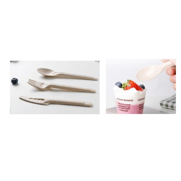 Eco Friendly Compostable Cutlery Plant Based Sugarcane Bagasse Pulp Knife