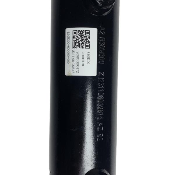 Durable Steel Hydraulic Cylinder Assembly with 6 Months Warranty for Forklift Lifting System