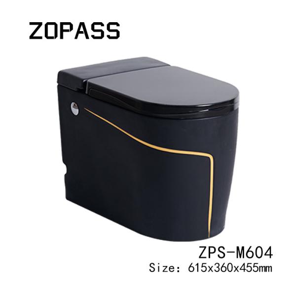 Изделия 615*360*455mm цельного черного умного умного туалета санитарные