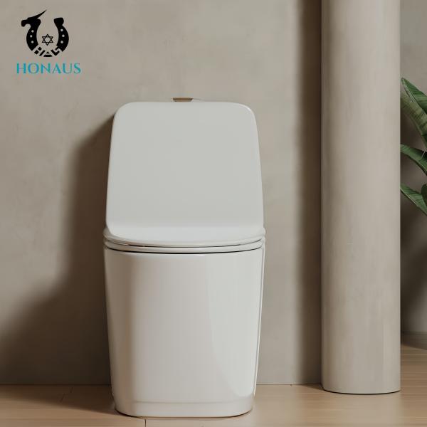Square High Quality Ceramic One Piece Toilet Bowl S Trap 300mm Factory Sale
