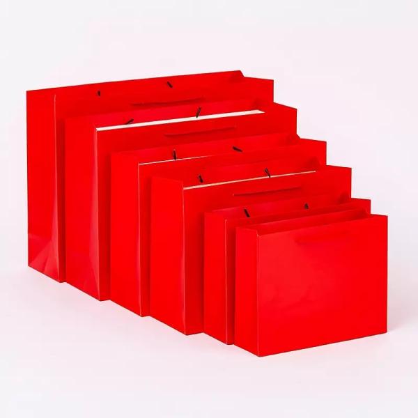 Jewellery Printed Paper Carrier Bags 200gsm Paper Gift Bag With Handles