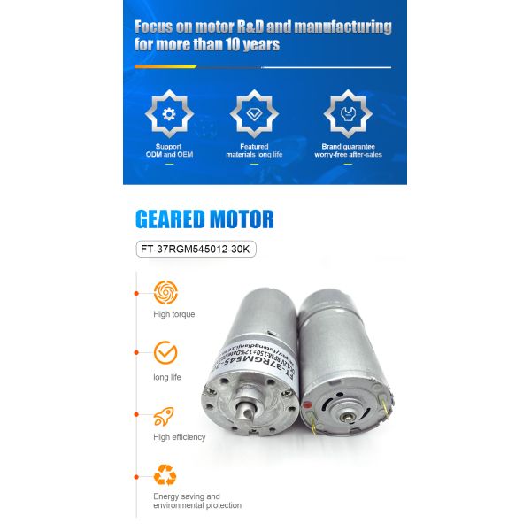 Futeng Customization FT-37RGM545  Reduce Speed Micro DC Motor 12v 24v Car Electric Trunk Tailgate Strut Motor