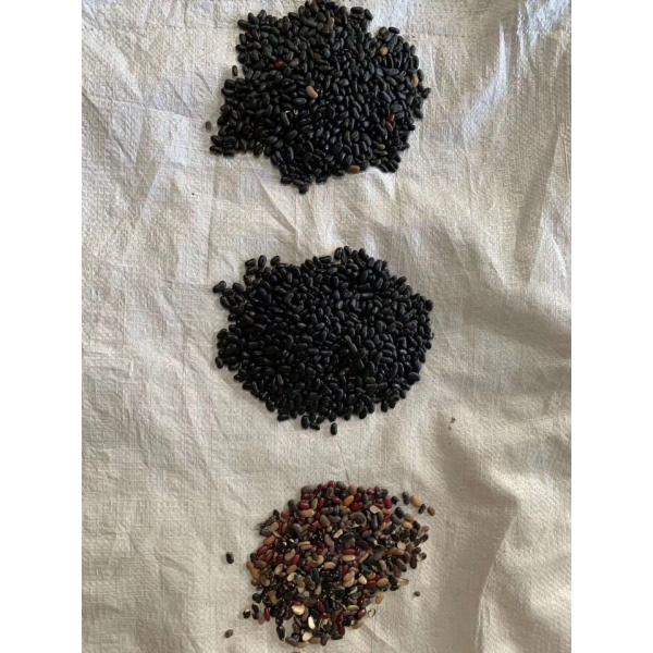 Small CCD Color Sorter For Black Beans Secondary Sorting Option