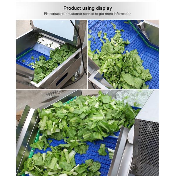 Washing Hoisting machine Fruit Orange Vegetable Apple pineapple Ginger Potato Carrot Sweet potato Yam cucumber chili onion okra Lettuce Cao Xin Baby Cabbage Chinese Cabbage processing production