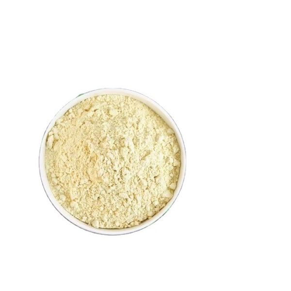 Hydrolyzed Pea Protein Powder Pure White Vegetable Protein for Food Applications