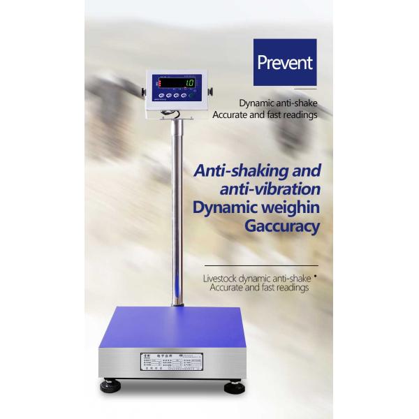 Blue All-Metal Industrial Scale with High Accuracy and Customizable Options 50cm*60cm