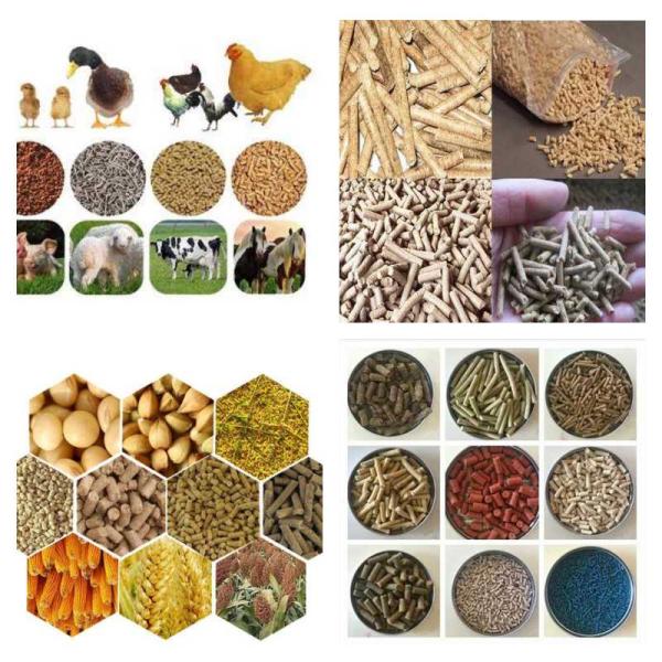 CE машины лепешки грошей машины 7.5-30kw создателя лепешки питания 2-12mm