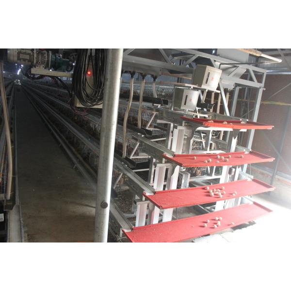 Рука клетки цыпленка слоя 3 ярусов высокая делает клетку цыпленка яйца