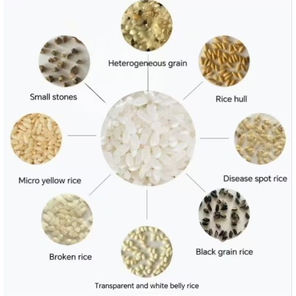80-Channel High-Capacity Rice Color Sorter for White , Brown , Parboiled & Glutinous Rice Processing