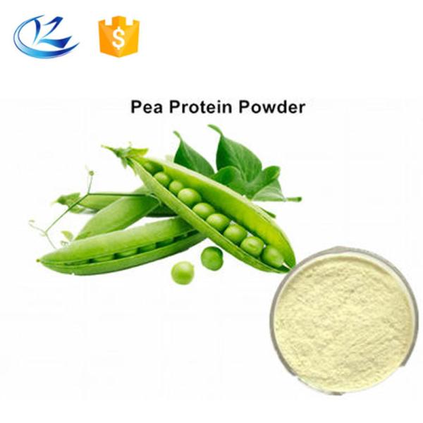 Hydrolyzed Pea Protein Powder Pure White Vegetable Protein for Food Applications