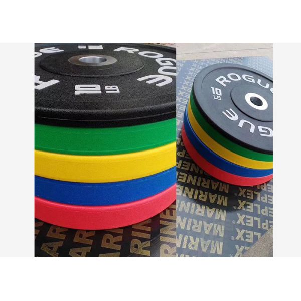 Iron Handle Barbell Plates Featuring Rubber Perfect for All Commercial Clubs Professional Weight Training