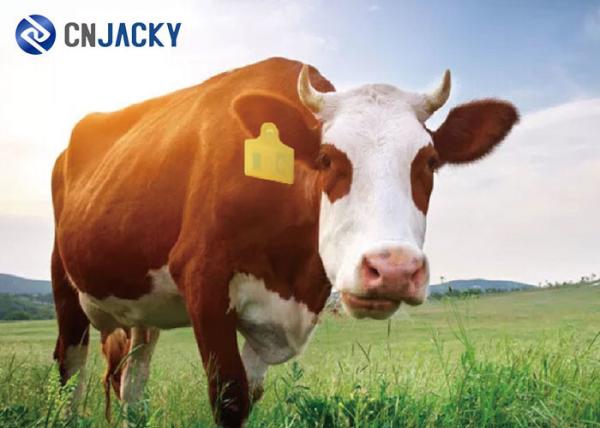 Custom Barcode Animal Goat Rfid Cattle Tag Cow Ear Tag 860-960MHz Passive UHF