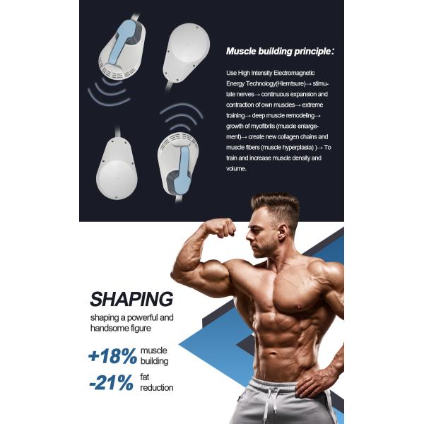 Не инвазивное 532нм 6Д 2 в 1 лазере Липо уменьшая машину терапией лазера машины 300В