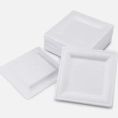 Microondas 10 polegadas quadrados placas de papel descartável placas de bagaço compostável