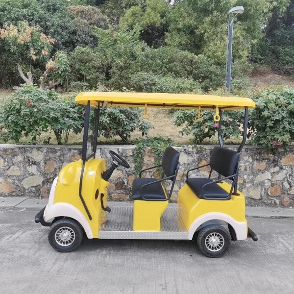 Carruaje eléctrico de dibujos animados ecológico con batería troyana de 48 V para parque de diversiones