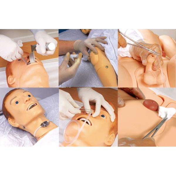 Categories Comprehensive Nursing Care Practice Multi-functional Male Patient Simulator