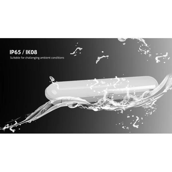 IP65 36W LED Tri-Proof For Supermaket Metro By China Supplier CE ROHS Certificate