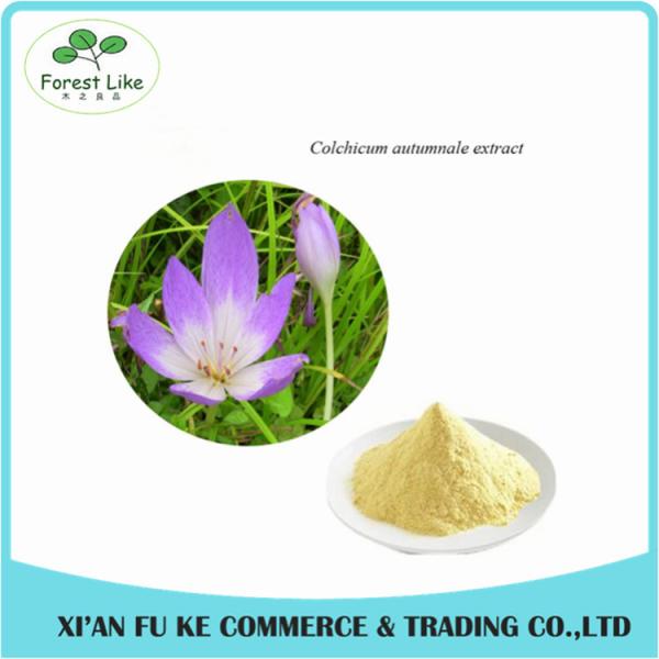 Best Selling Colchicum Extract Colchicine 98% CAS NO:64- 86 - 8