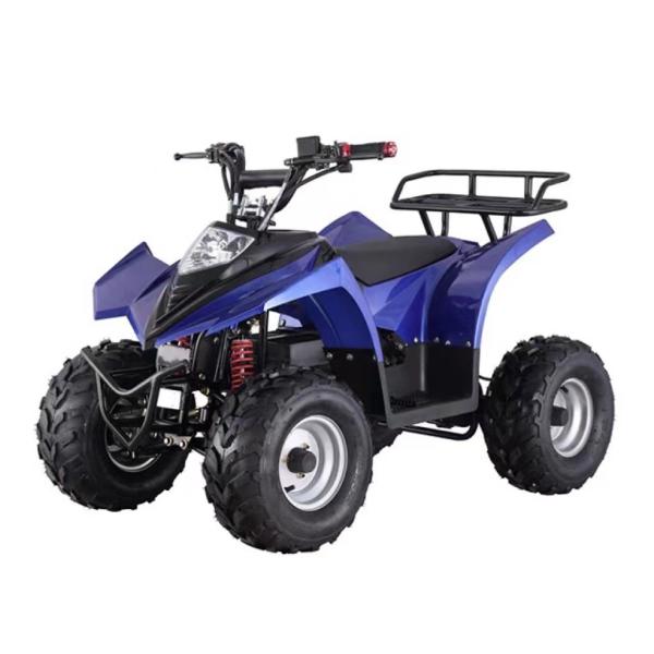 Electric Mountain Truck Off-Road Vehicle with Rear Disc Brake and 600-1000mm Wheelbase