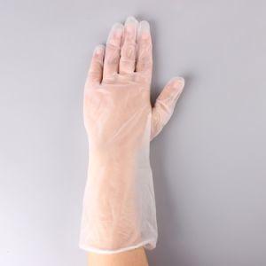 Powder Free Disposable PVC Gloves For Preventing Bacteria / Virus