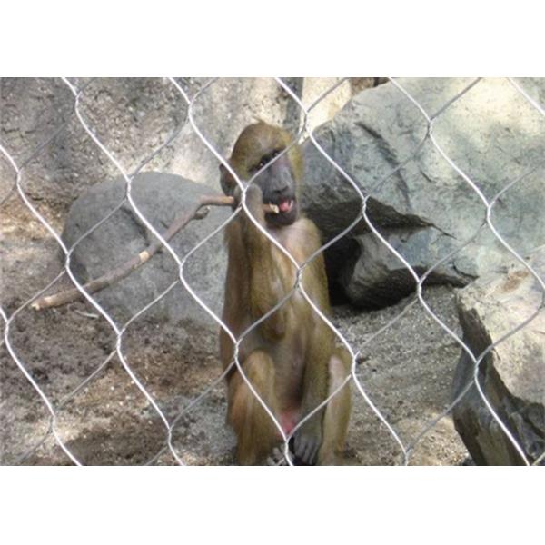 Zoo Stainless Steel Rope Mesh , Stainless Steel Wire Rope Ferrule Mesh