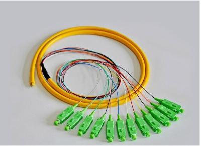 Trança da fibra ótica do Sc Apc
