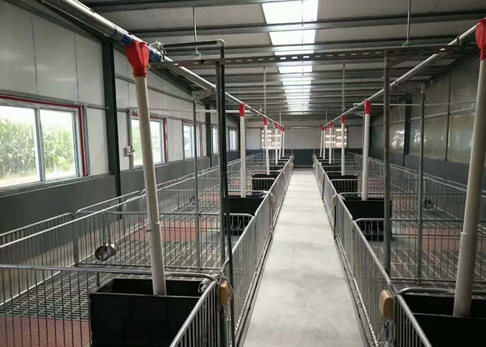 Доска Weaner PVC сельскохозяйственного оборудования Piggery горячего погружения гальванизированная подняла поросясь клеть