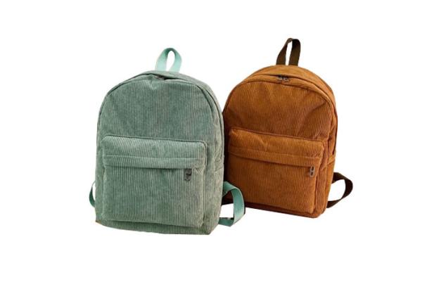 School Bag Style Kid Backpack in Small Size for More Benefits and More