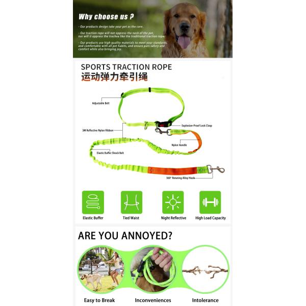 Long Rope Nylon Webbing Reflective Safty Belt Pet Dog Leash