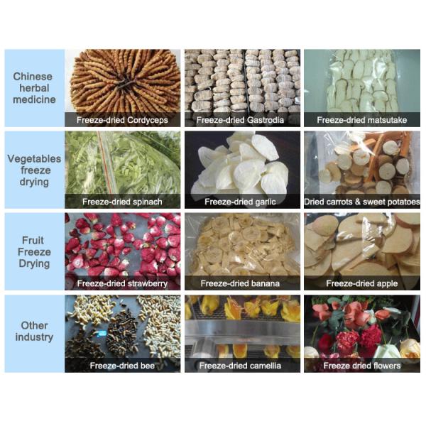 СГС Домашний сушильщик для заморозки лаборатория Маленькая лиофилизаторная машина