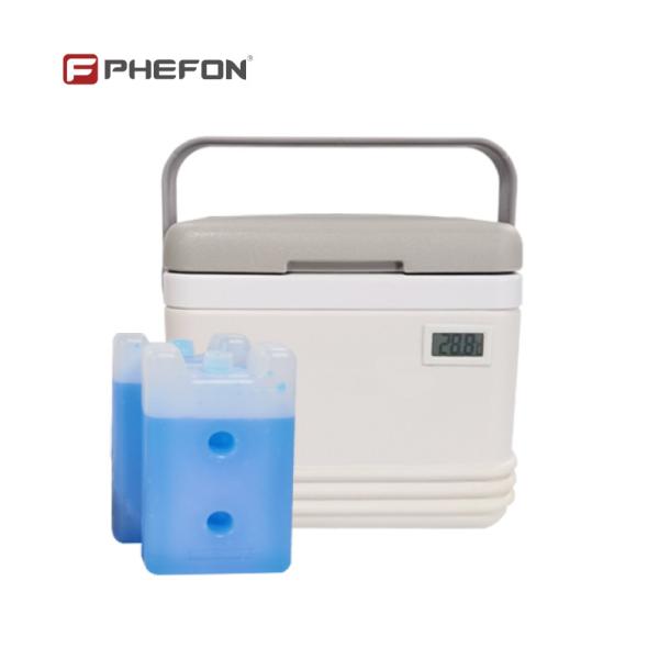 キャンプやピクニック用のPhefon 4.5Lアイスクーラーボックス