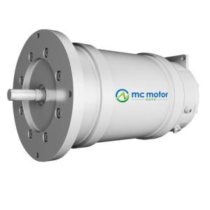 High Speed Synchronous Motor