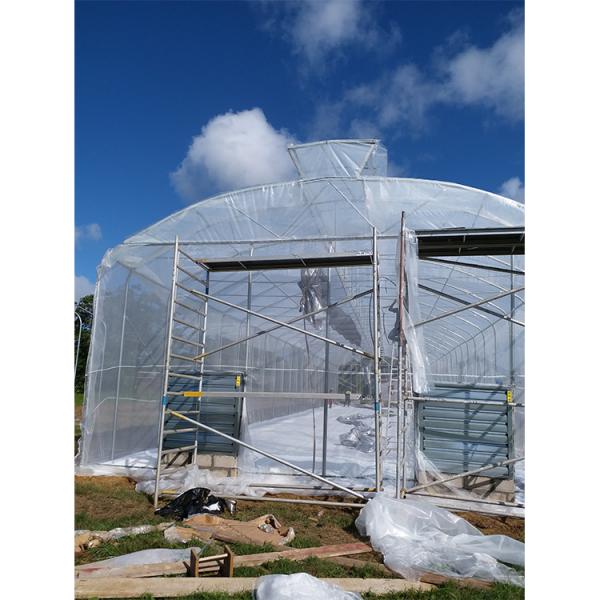200micron PE Film Ventilation System Greenhouse High Security Weather Proof