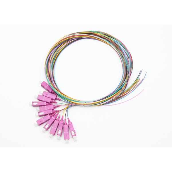 SC OM4 2m  Fiber Optic Pigtail  900um 12F 12 Colors OM4 50 / 125μm Loose buffer LSZH easy to strip
