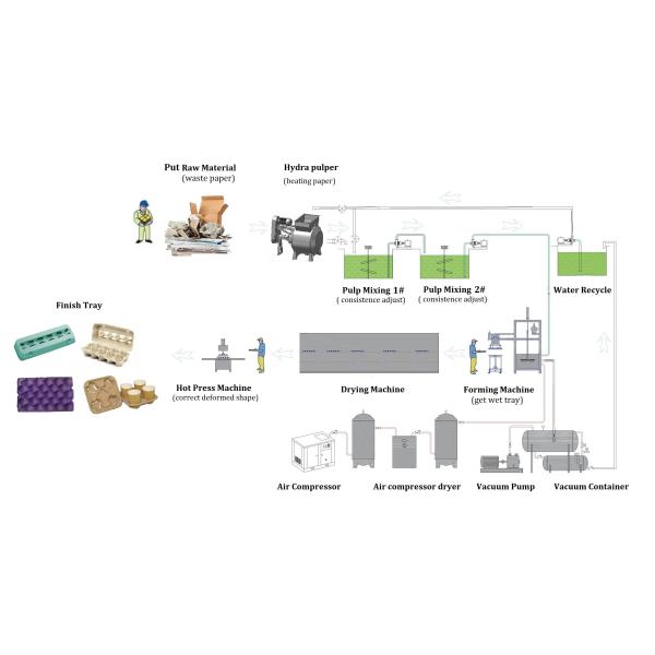 Eco Friendly Paper Molded Machine For Making Egg Carton Fruit Tray Coffee Cup Tray