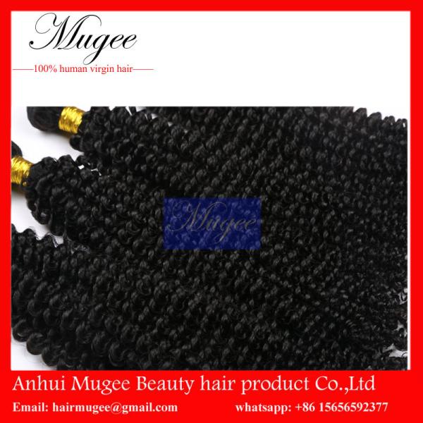 best curly hair product virgin human malaysian hair beautiful malaysian hair for women