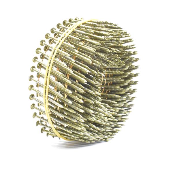 High Quality Mexico Factory Collated Screw Ring Smooth Shank Wire Coil Nails for Wood Pallet Pneumatic Nail Gun Use